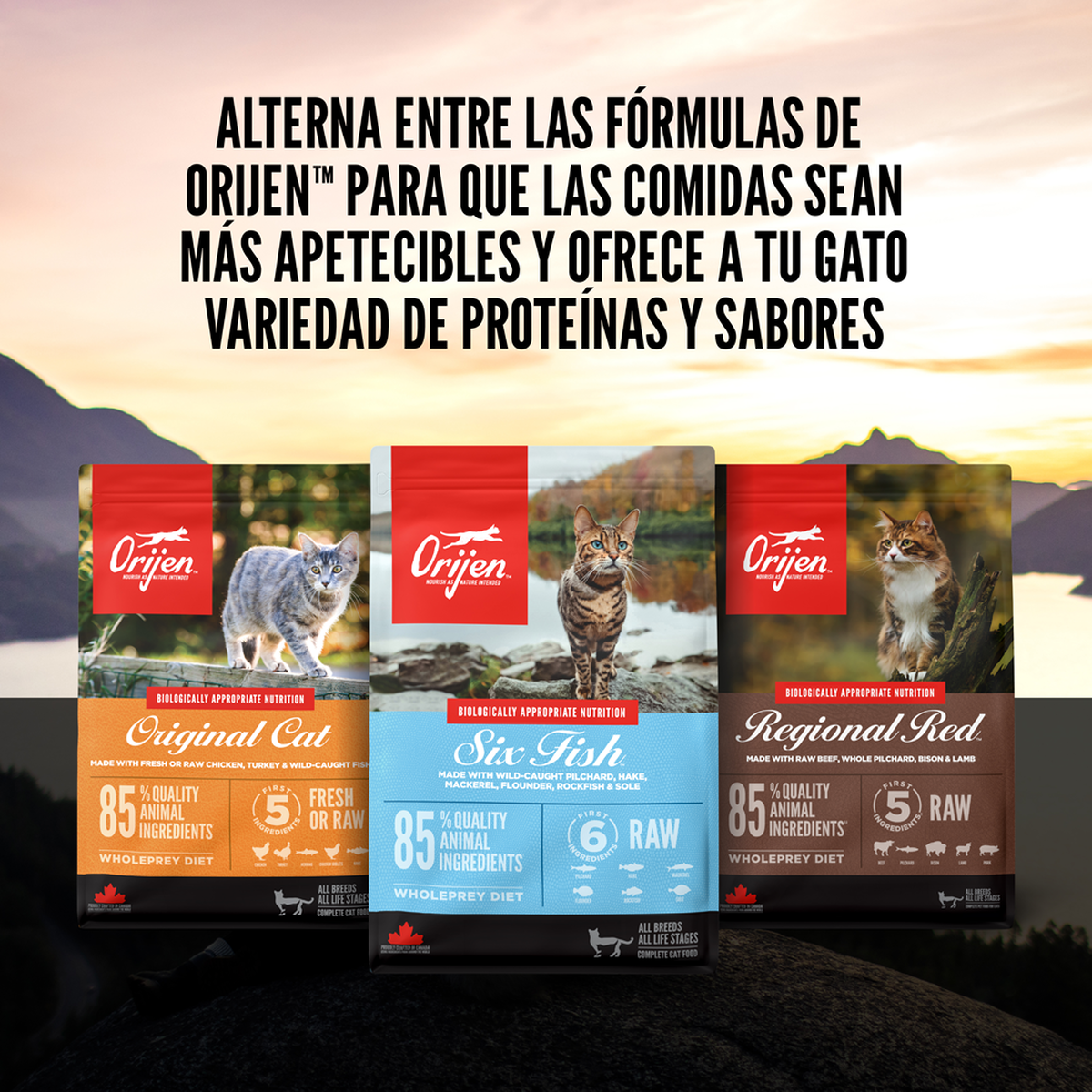 null - Product thumbnail 6.0